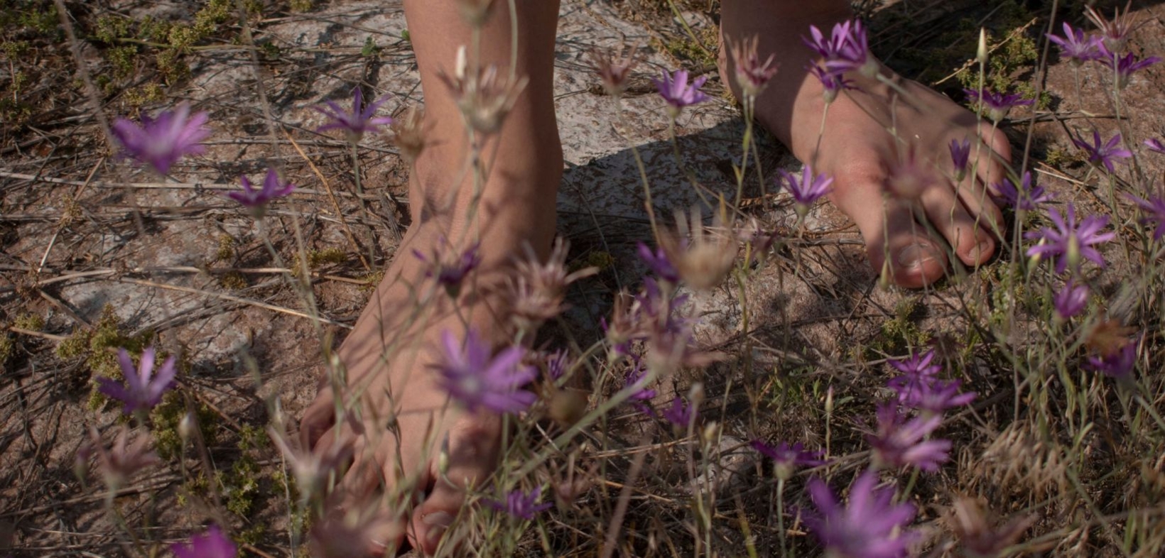 Nackte Füße auf Boden, auf dem lila Blumen blühen