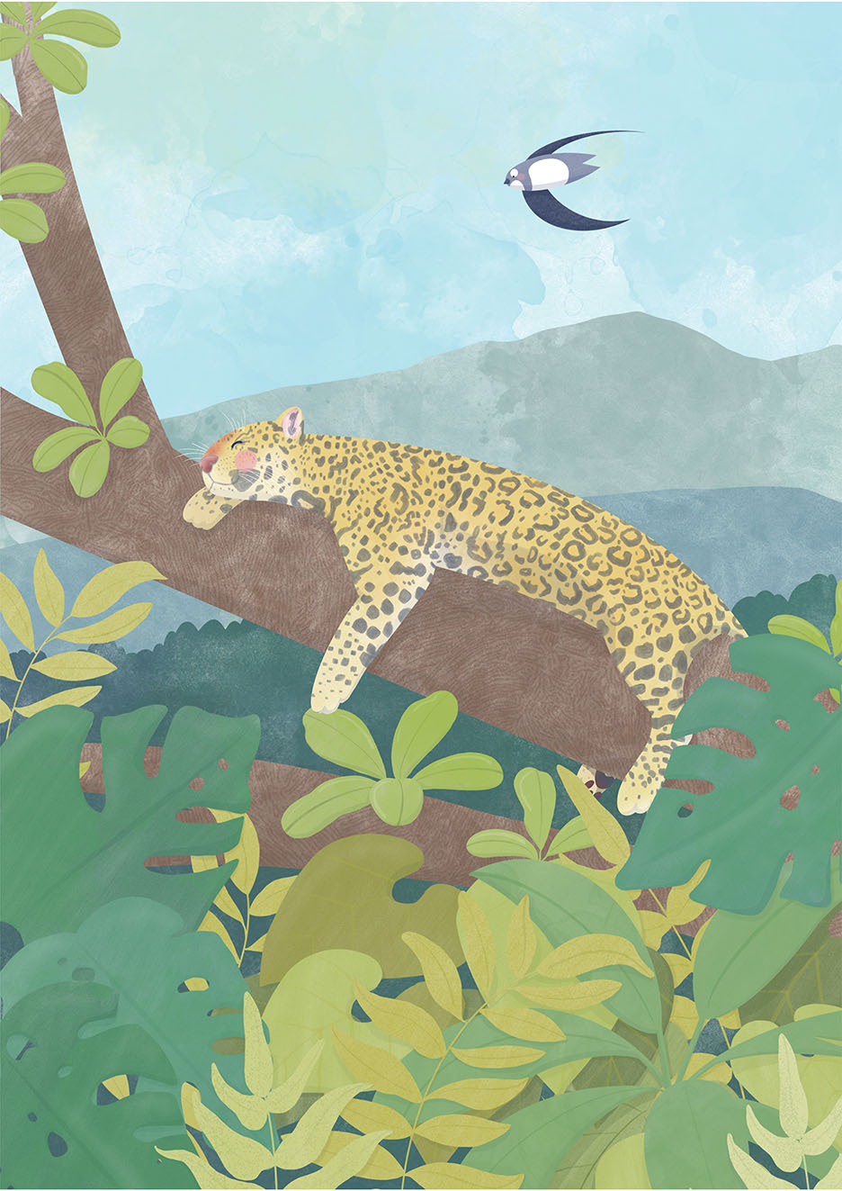 Alpensegler Albi fliegt an einem Leoparden, der entspannt auf einem Ast liegt vorbei