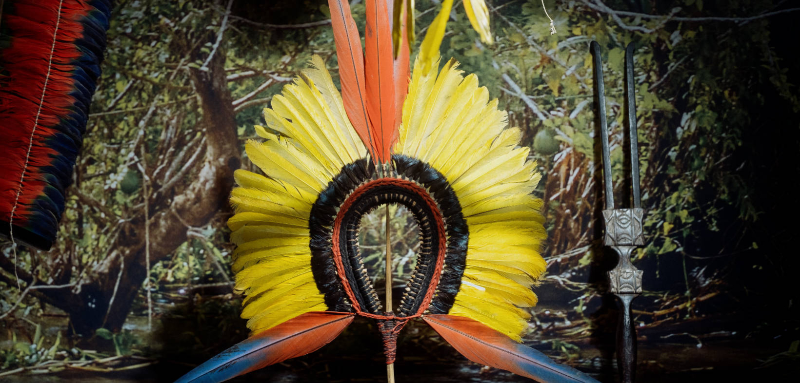 Federfächer aus Brasilien mit gelben und orangen Federn